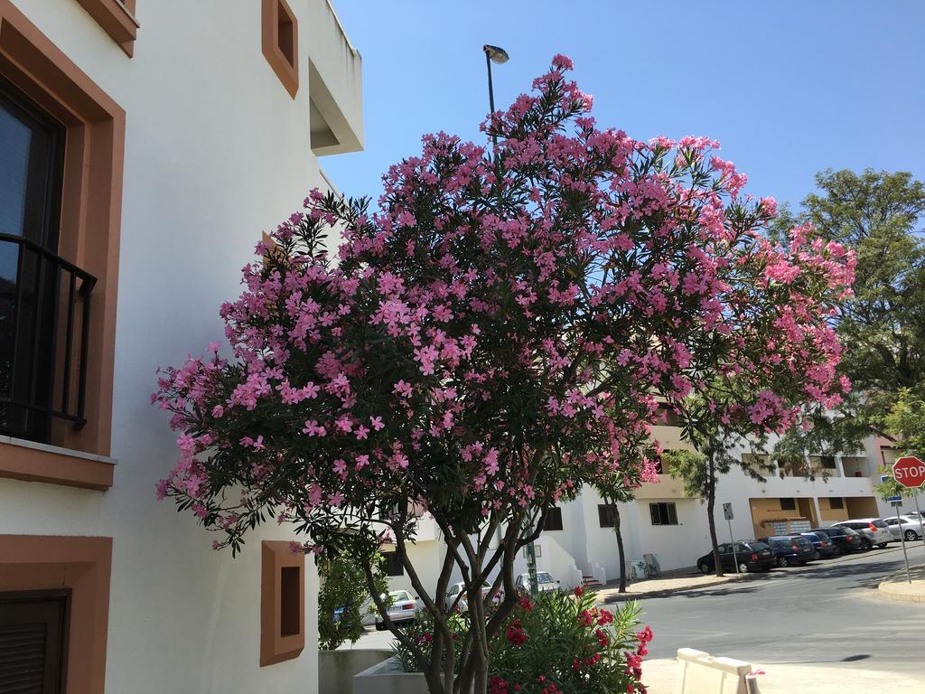 Lovely Beach Apartment Bellavista Albufeira Exterior foto